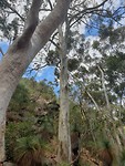 20191203_122758