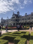 Dunedin