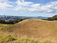Uitzicht van de krater en Auckland!