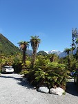 Tropische camping in Franz Josef!