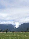 Fox Glacier