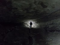 Op zoek naar glowworms