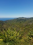 De weg richting Coromandel!