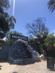Mojo surfcamp