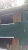 jungle green house