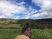 IMG_7148