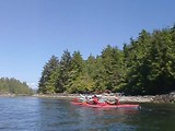 Tofino