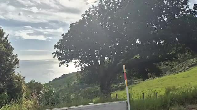 On the road naar Coromandel
