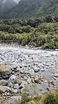 Wandeling bij Fox Glacier