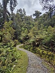 Kronkelend wandelpad