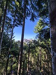 Omgeving zipline