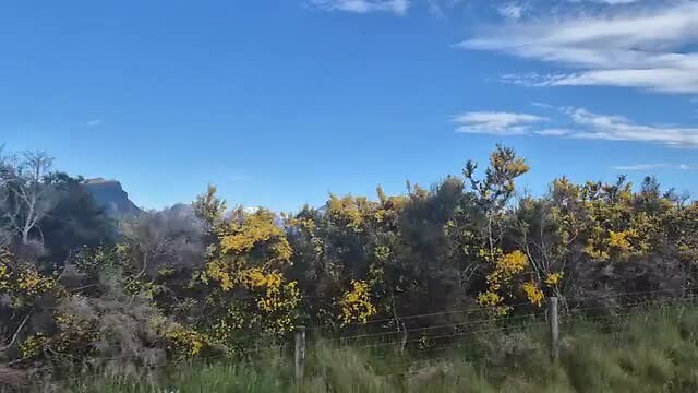 Vanuit de auto naar Te Anau