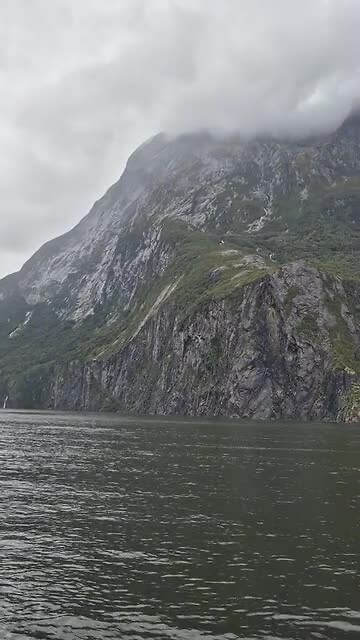 Milford Sound met nog meer boten