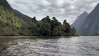 Watertaxi naar Milford Sound Track