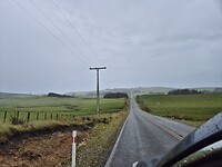 On the road in The Catlins