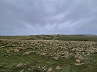 Landschap The Catlins