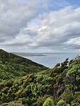 Uitzicht vanaf weg naar Nugget Point