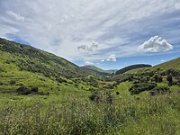 Landschap
