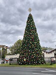 Kerstboom in het dorpje