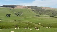 The Catlins
