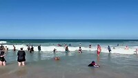 Dagje strand