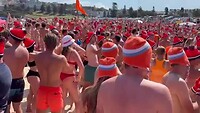Speech van de lifeguards