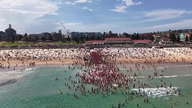 Drone beelden