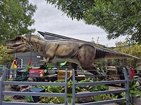 Hele grote en gevaarlinke dino