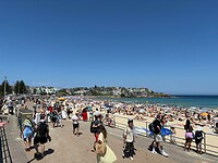 Bondi Beach