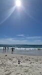Druk met op het strand liggen en zwemmen