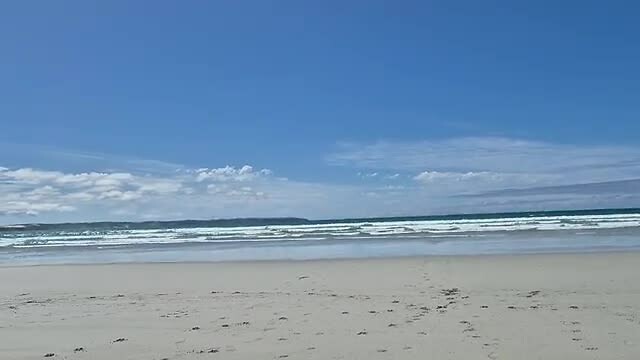 Shelly Beach