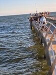 Vissers en zwemmers bijde pier