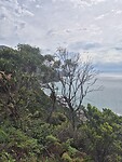 Onderweg bij The Great Ocean Road