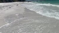 Strandwandeling Jervis Bay