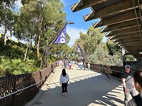 IMG-20250118-WA0021