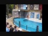 Sea World