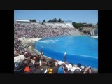 Sea World