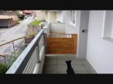 uitzicht vanaf ons appartement