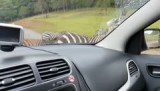 Virginia Safari Park (2016)