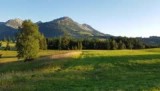 Schattwald (juli 2016)