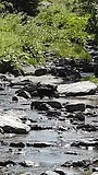 Yill in het water Aostadal (juni 2017)