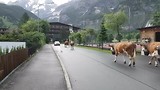 op onze laatste ochtend voor de deur in Kandersteg (juni 2017)