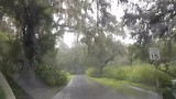 Florida 2017 Circle B Bar reserve (park) in de regen