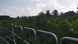 Florida 2017 Wild Florida airboat ride