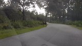 Florida 2017 Wekiwa Spring State Park
