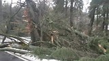 slecht weer in de buurt van Bad Suderode (januari 2018)