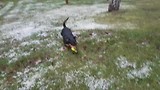 Bad Suderode bij ons huisje (Harz januari 2018)