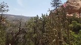 Echo Amphitheater New Mexico (2018)