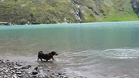 Yill in het water bij Lago di Malciaussia 😍