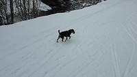 Pitztal wandeling